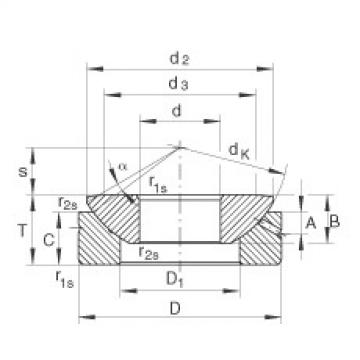 المحامل GE70-AX INA