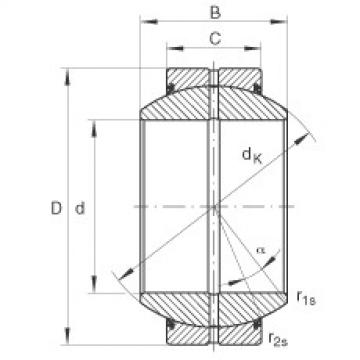 المحامل GE120-FO-2RS INA