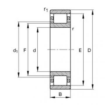 FAG محامل أسطوانية - N322-E-XL-M1