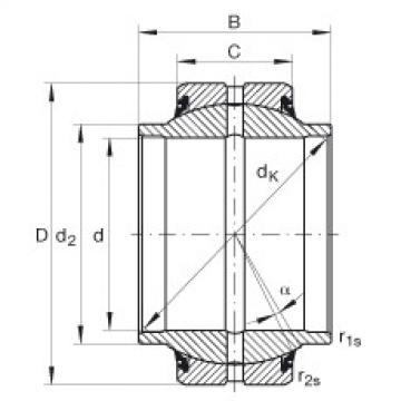 المحامل GE25-HO-2RS INA