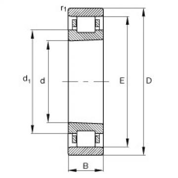 FAG محامل أسطوانية - N1038-K-M1-SP