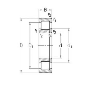 المحامل NUP328-E-MPA NKE