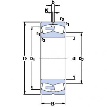 المحامل 24192 ECA/W33 SKF