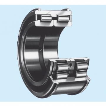 Bearing RS-4924E4