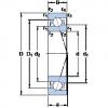 المحامل 7006 ACE/P4A SKF #1 small image