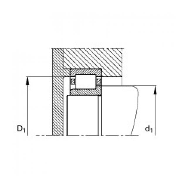 FAG محامل أسطوانية - NJ336-E-TB-M1 #3 image