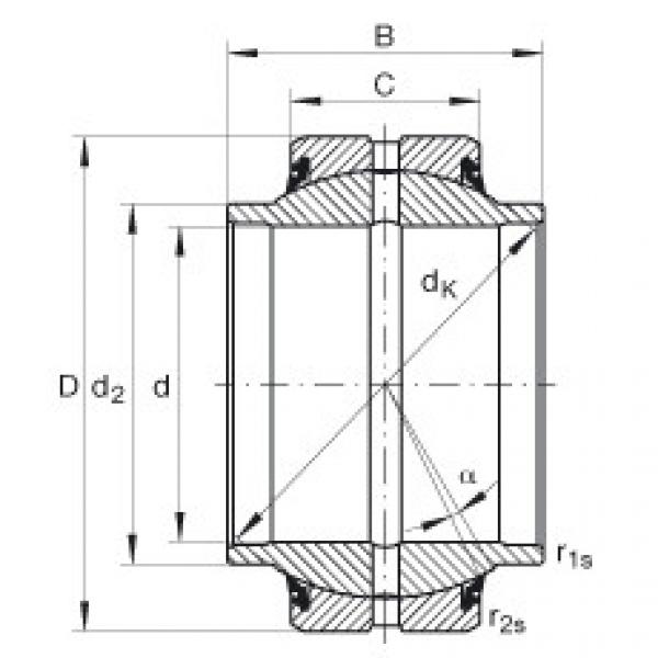 المحامل GE25-HO-2RS INA #1 image