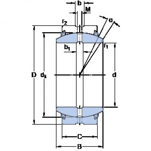 المحامل GE 300 ES-2LS SKF #1 image